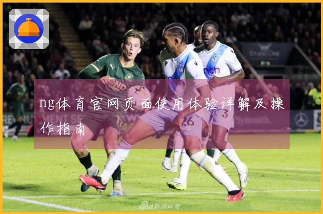 ng体育官网页面使用体验详解及操作指南