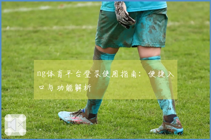 ng体育平台登录使用指南：便捷入口与功能解析