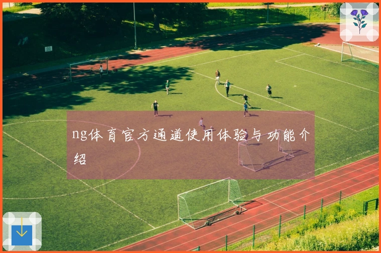 ng体育官方通道使用体验与功能介绍