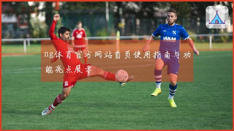 ng体育官方网站首页使用指南与功能亮点展示