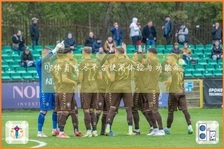 ng体育官方平台使用体验与功能介绍