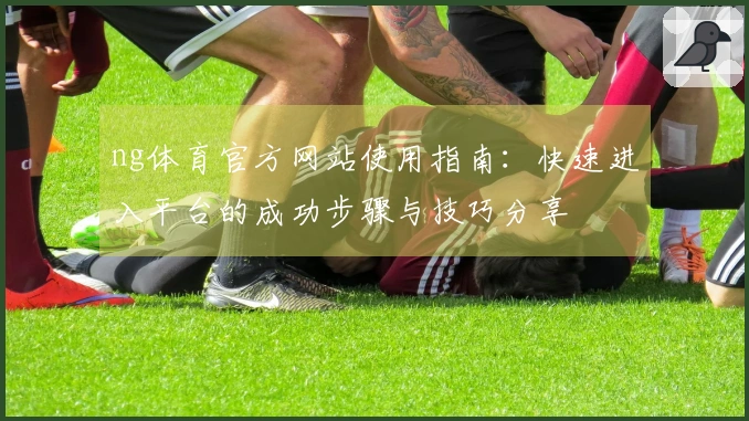 ng体育官方网站使用指南：快速进入平台的成功步骤与技巧分享