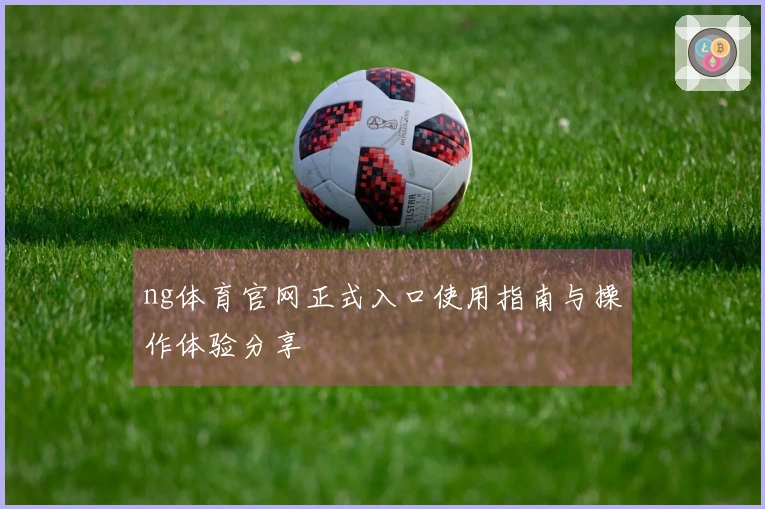 ng体育官网正式入口使用指南与操作体验分享