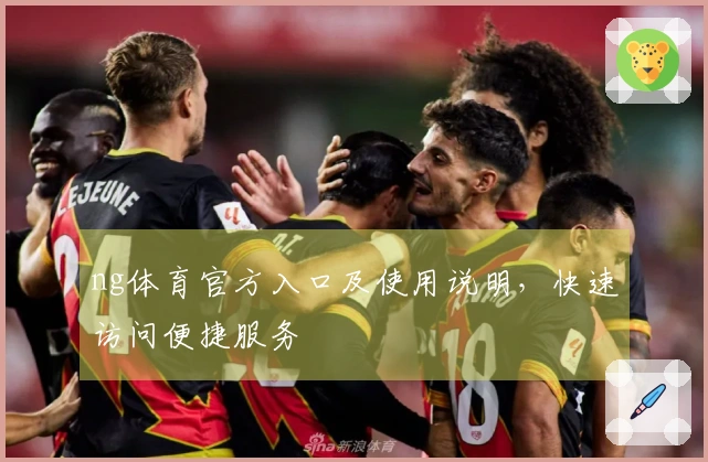 ng体育官方入口及使用说明，快速访问便捷服务