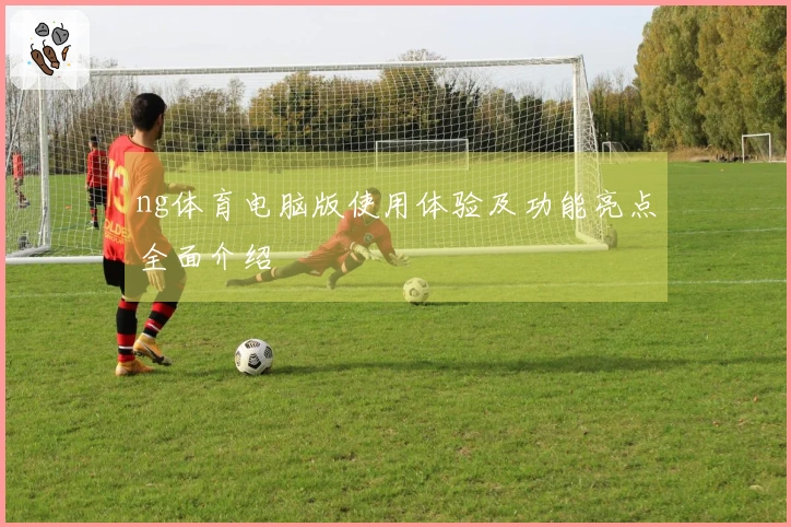 ng体育电脑版使用体验及功能亮点全面介绍