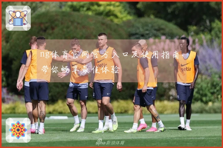 ng体育官网官方入口及使用指南，带你畅享最佳体验