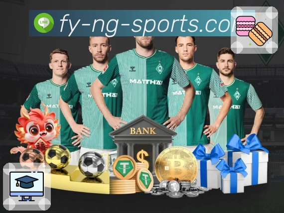 ng体育 App